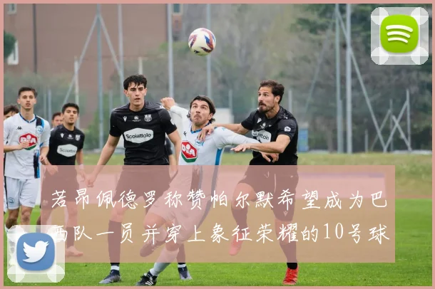 若昂佩德罗称赞帕尔默希望成为巴西队一员并穿上象征荣耀的10号球衣